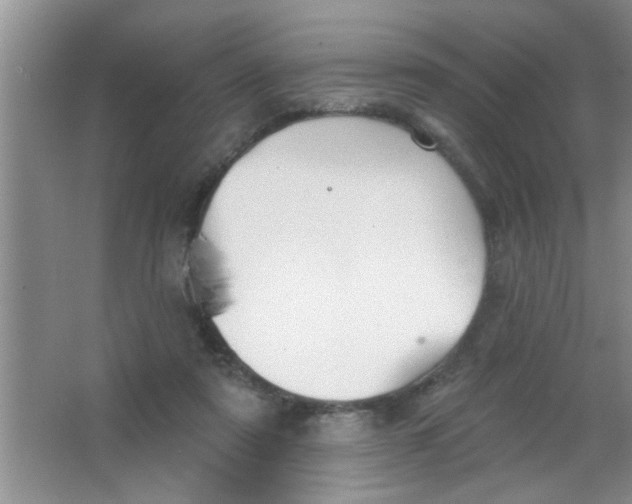 X0000063490307200602101840