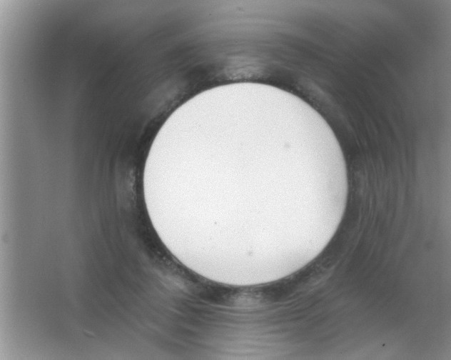 X0000063490308200602101840