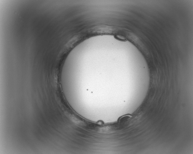 X0000063490309200602101840