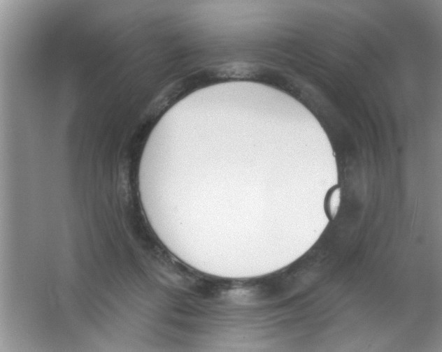 X0000063490312200602101840