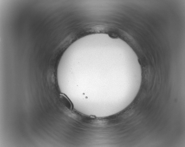 X0000063490313200602101840