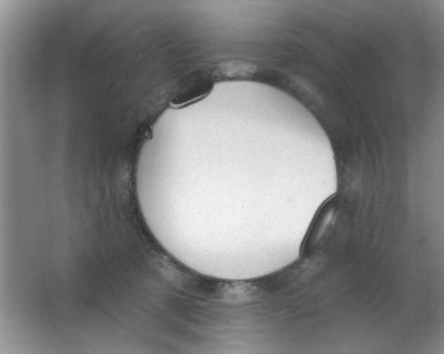 X0000063490321200602101840