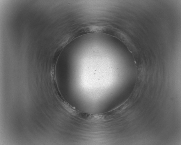 X0000063490329200602101840