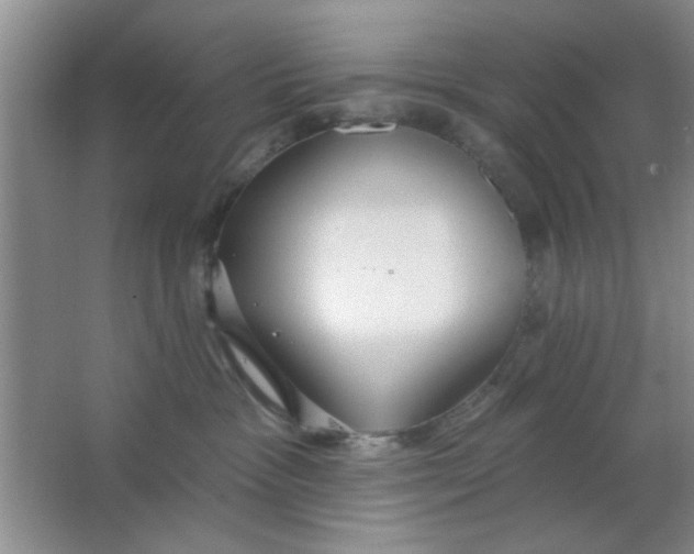 X0000063490333200602101840