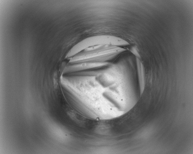 X0000063490335200602101839