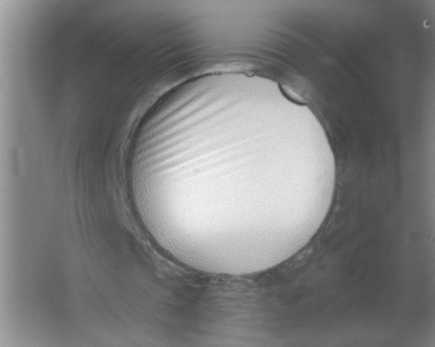 X0000063490337200602101839