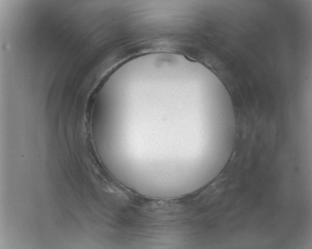 X0000063490338200602101839