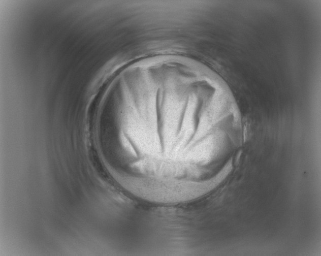 X0000063490339200602101839