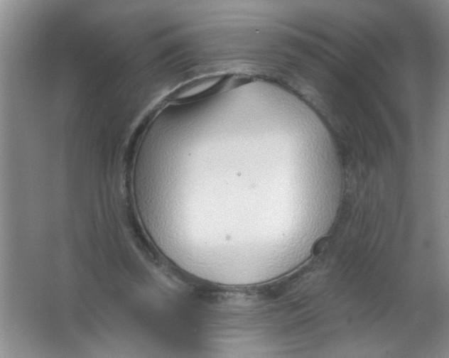 X0000063490347200602101839