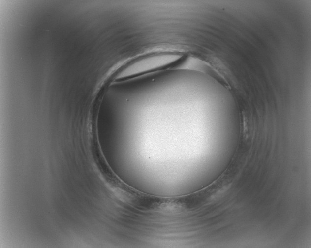 X0000063490348200602101839