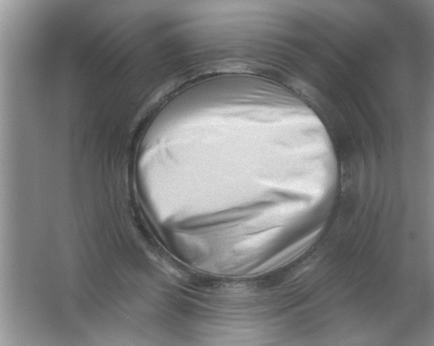 X0000063490349200602101839