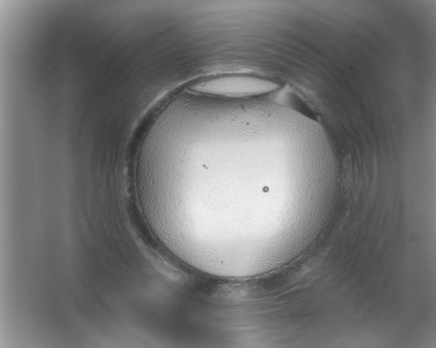 X0000063490351200602101839