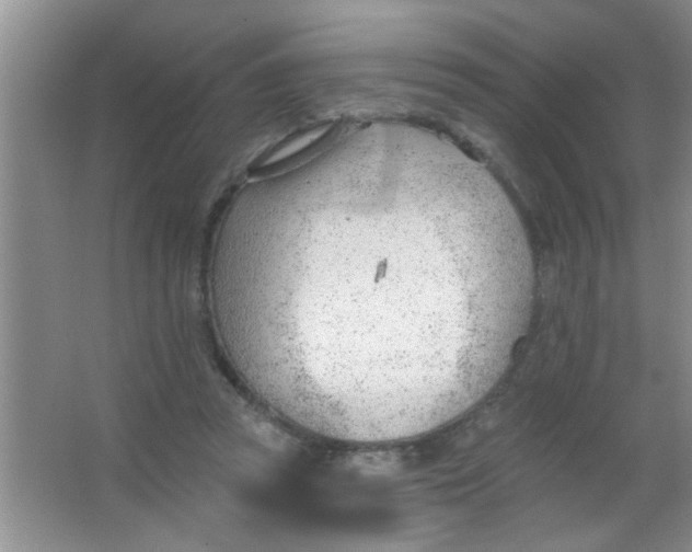 X0000063490353200602101839