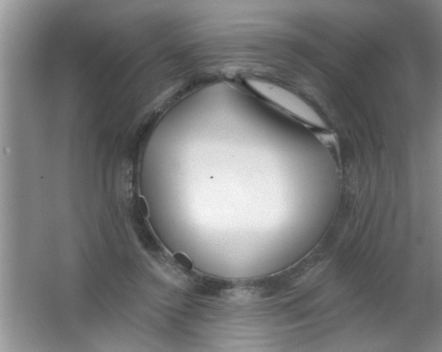 X0000063490356200602101839