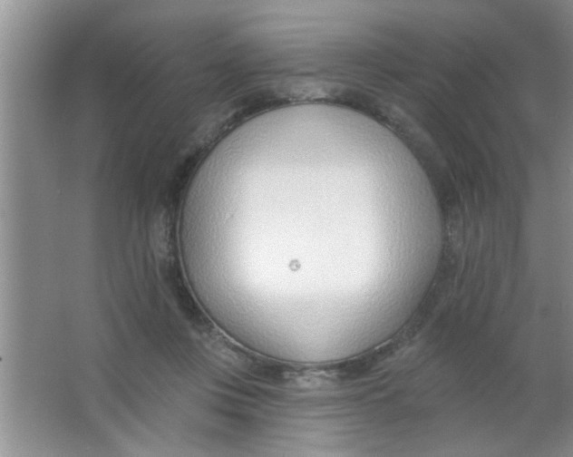 X0000063490359200602101839