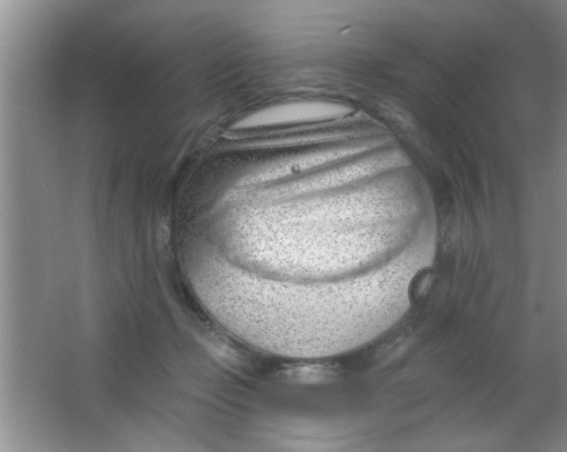 X0000063490365200602101839