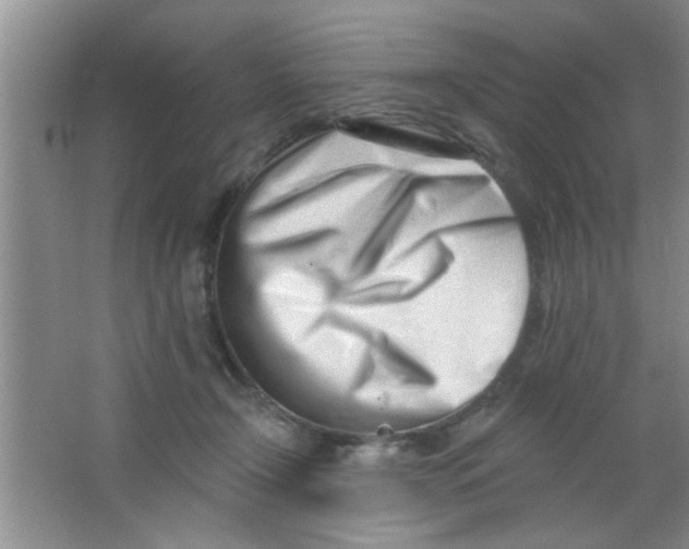 X0000063490366200602101839