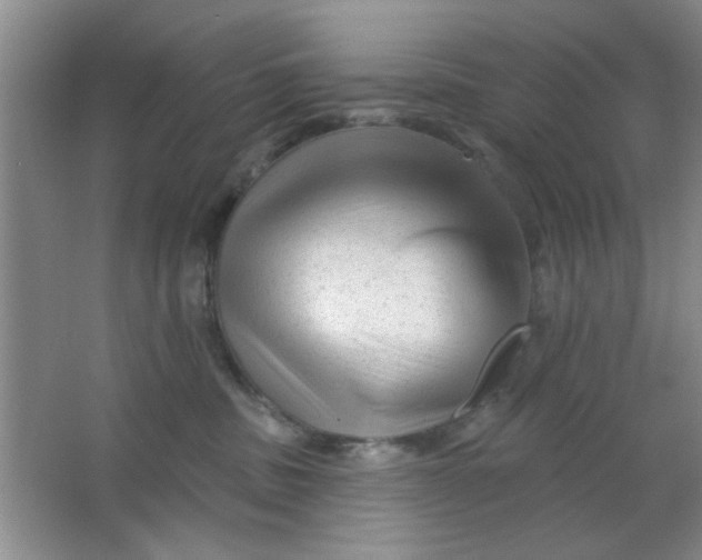 X0000063490379200602101839