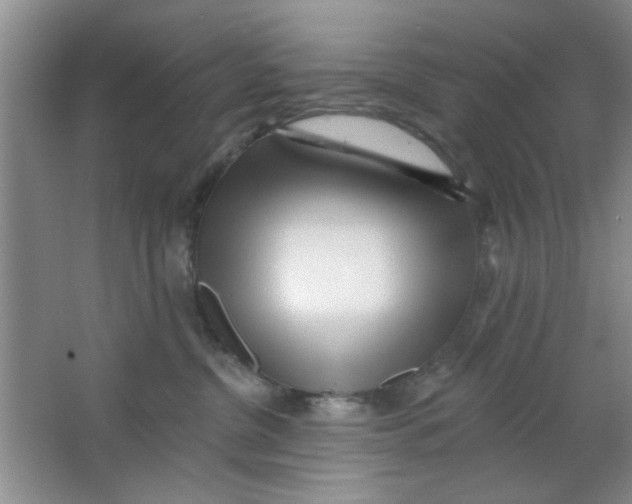 X0000063490380200602101839