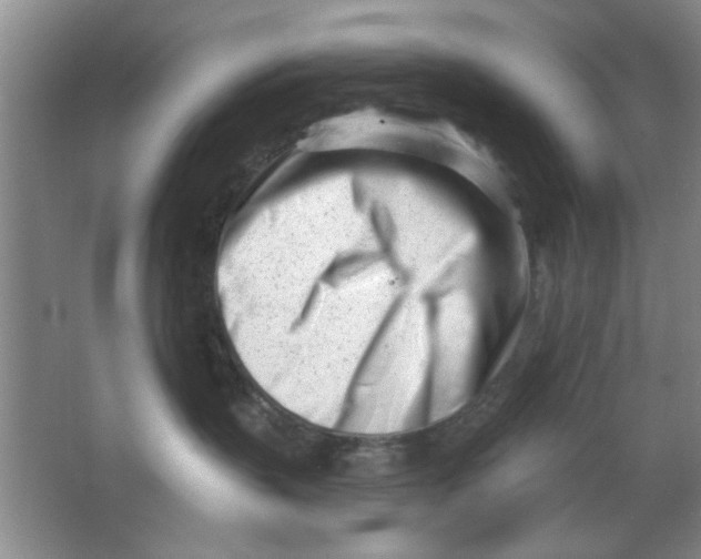 X0000063490383200602101839