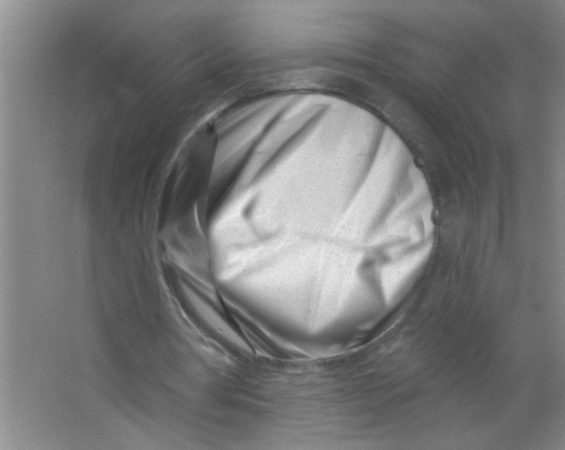 X0000063490386200602101839