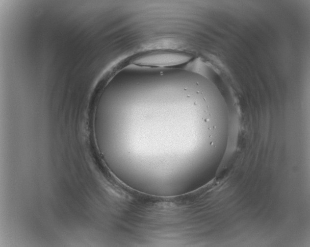 X0000063490392200602101839