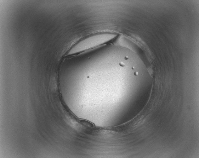 X0000063490393200602101839