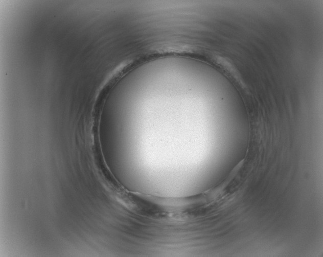 X0000063490395200602101838