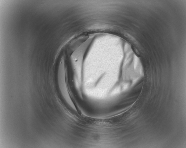 X0000063490399200602101838