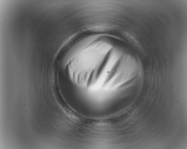 X0000063490400200602101838