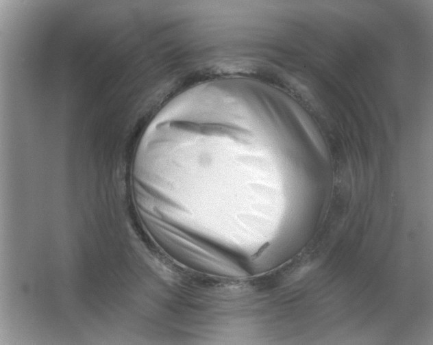 X0000063490402200602101838