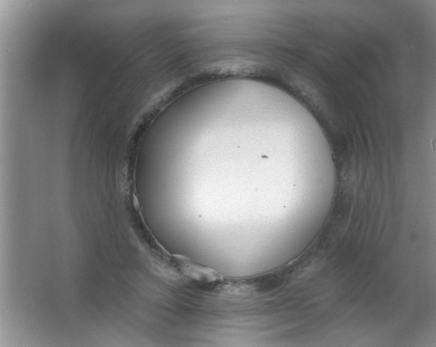 X0000063490403200602101838