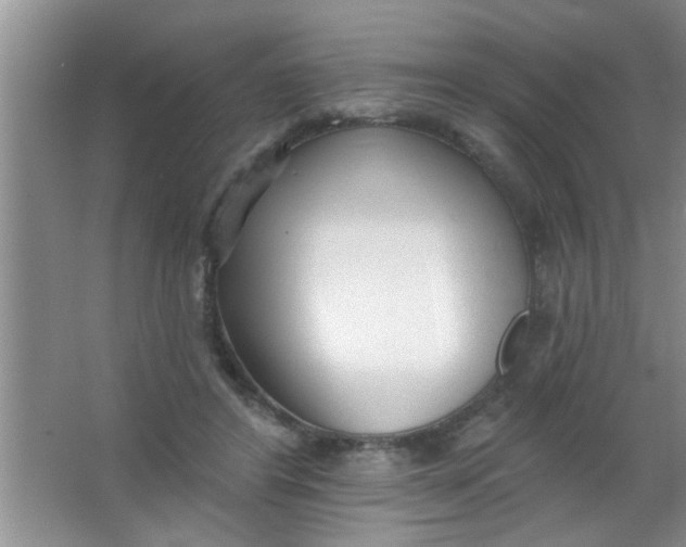 X0000063490404200602101838