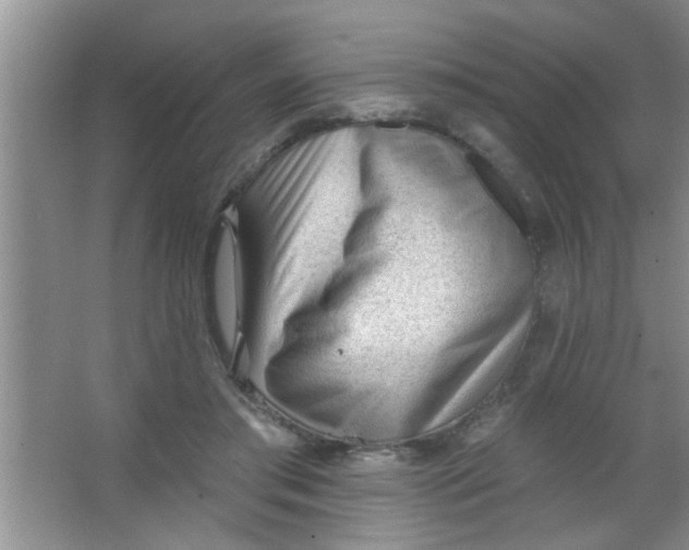 X0000063490405200602101838