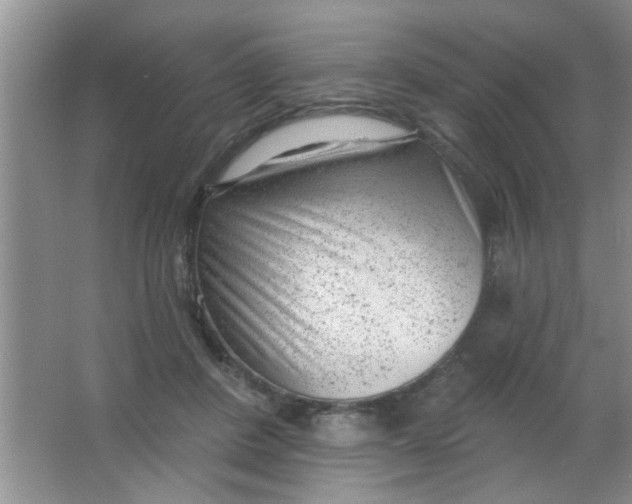 X0000063490408200602101838