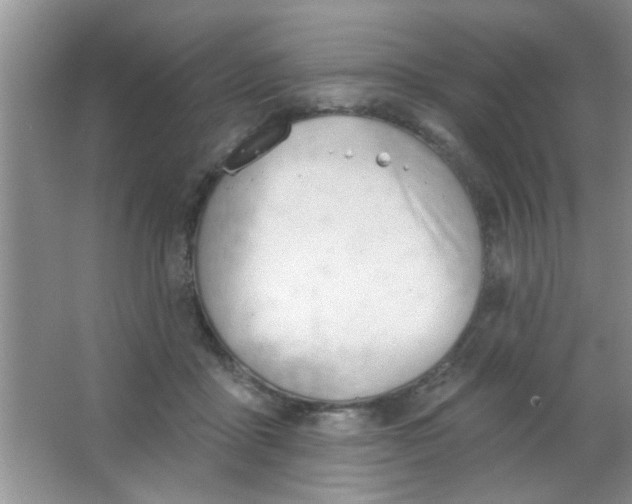 X0000063490411200602101838