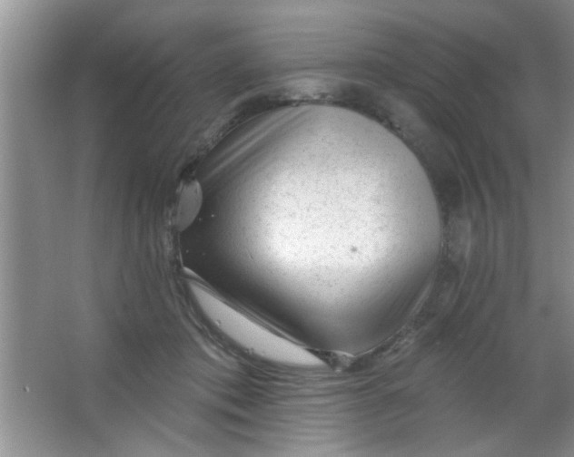 X0000063490413200602101838