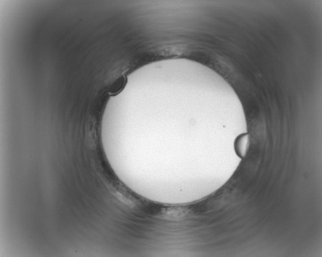 X0000063490414200602101838