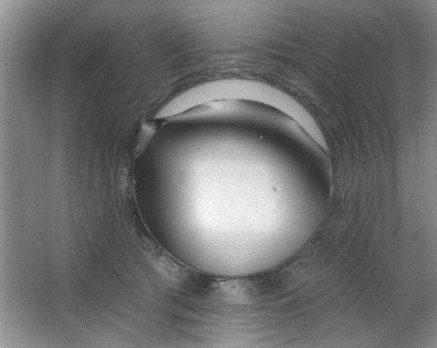 X0000063490417200602101838