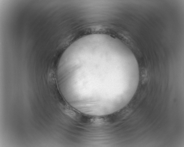 X0000063490419200602101838