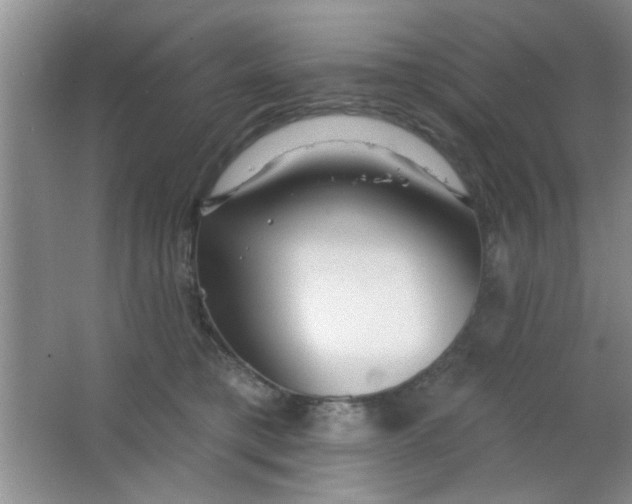 X0000063490421200602101838