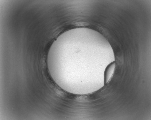 X0000063490422200602101838