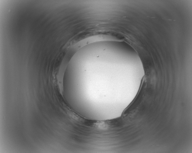 X0000063490425200602101838