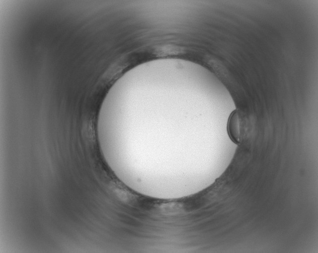 X0000063490426200602101838