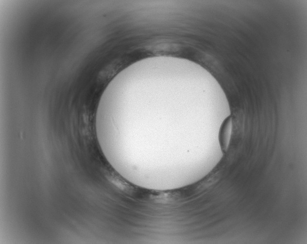 X0000063490430200602101838