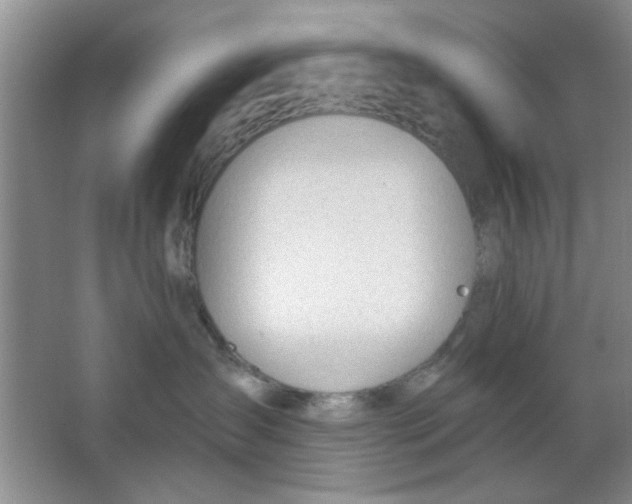 X0000063490431200602101838