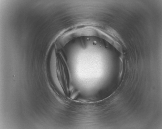 X0000063490436200602101837