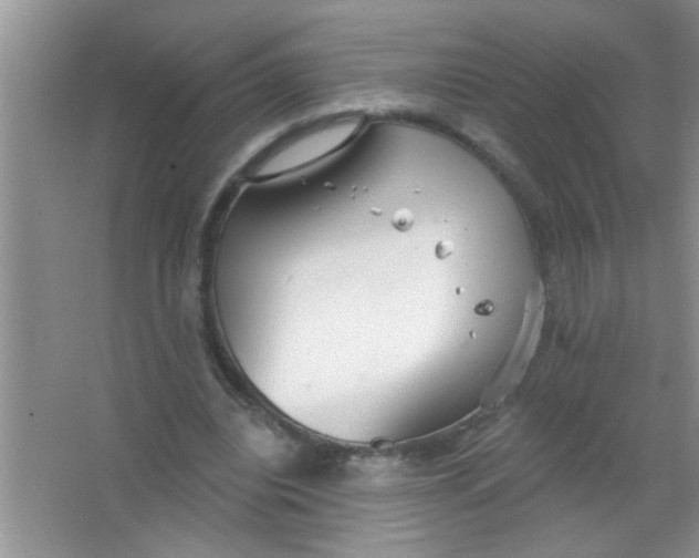 X0000063490440200602101837