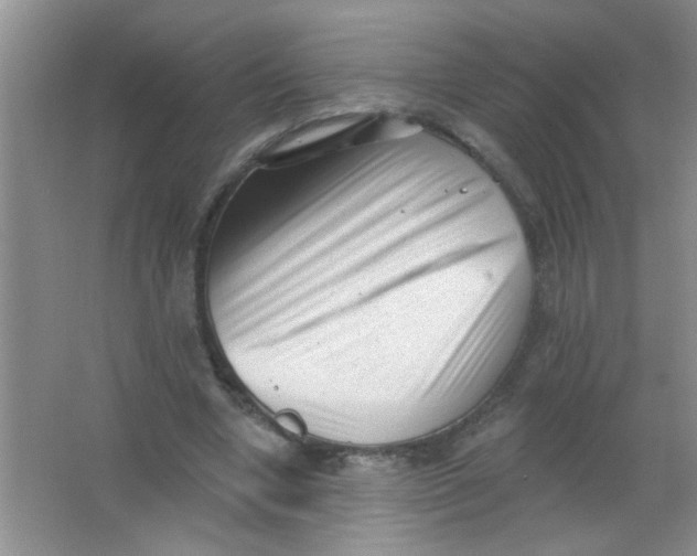 X0000063490442200602101837