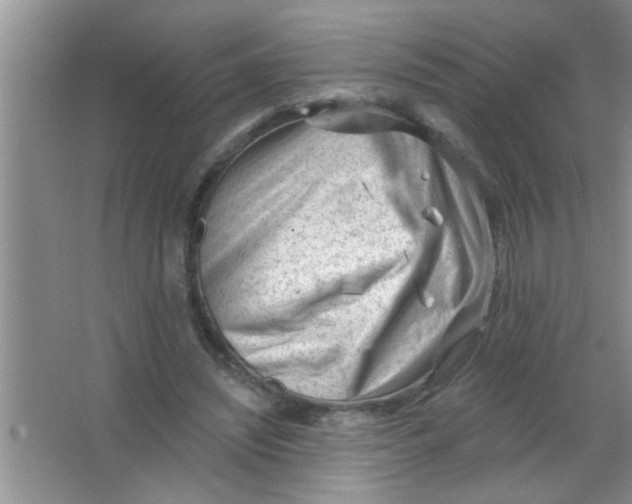 X0000063490444200602101837